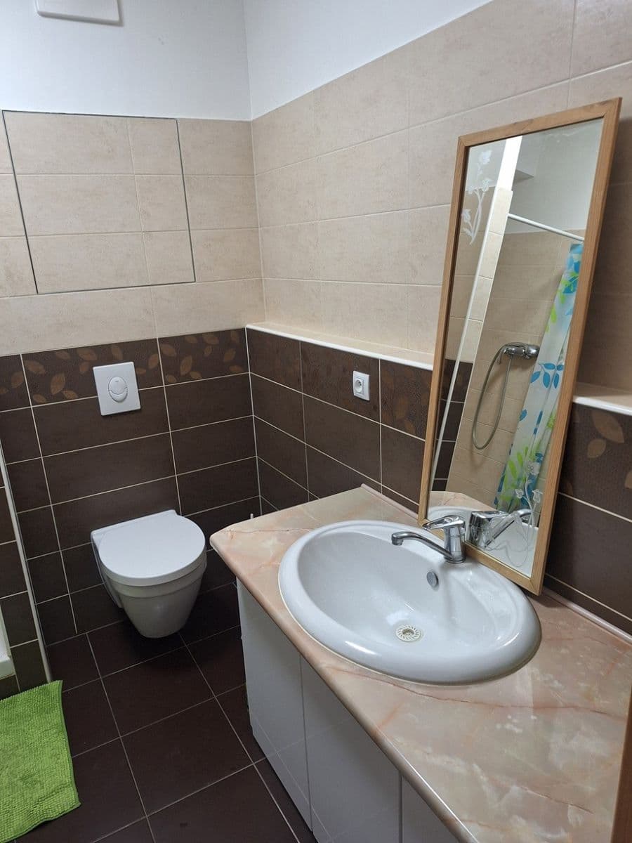 1 bedroom with open-plan kitchen flat to rent, 60 m², Sousedíkova, Prague, Prague 1 bedroom with open-plan kitchen flat to rent, 60 m², Sousedíkova, Prague, Prague