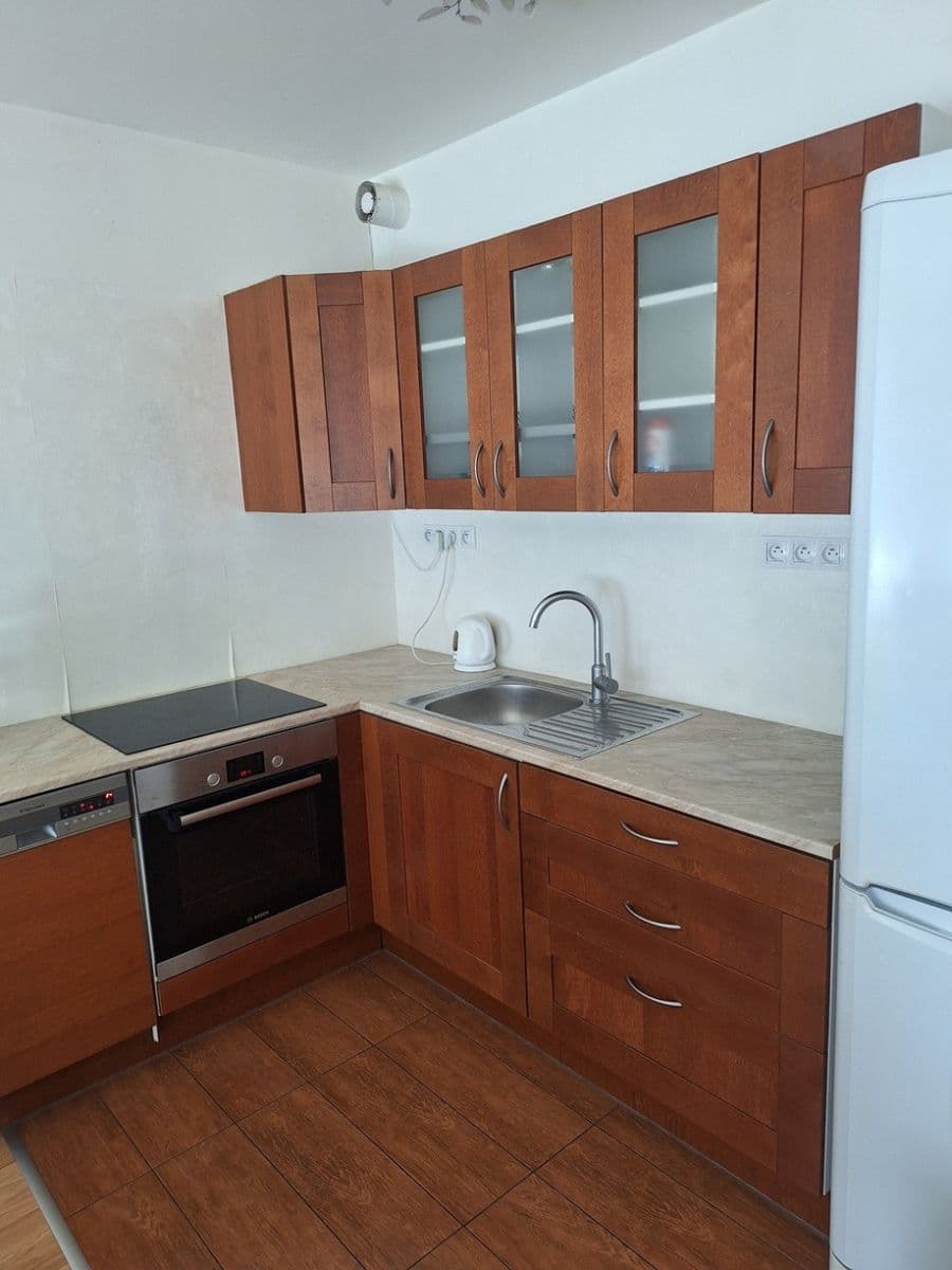 1 bedroom with open-plan kitchen flat to rent, 60 m², Sousedíkova, Prague, Prague 1 bedroom with open-plan kitchen flat to rent, 60 m², Sousedíkova, Prague, Prague