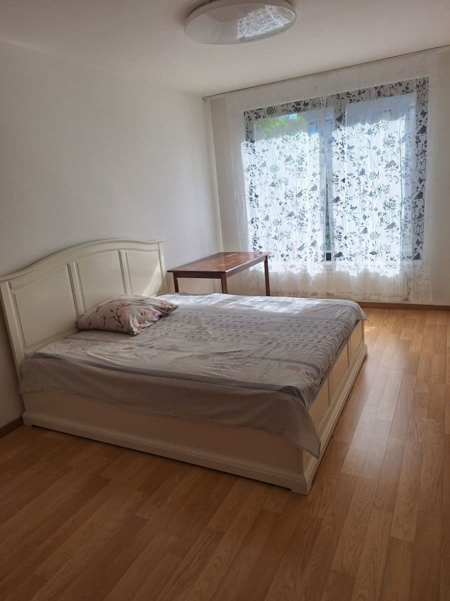 1 bedroom with open-plan kitchen flat to rent, 60 m², Sousedíkova, Prague, Prague 1 bedroom with open-plan kitchen flat to rent, 60 m², Sousedíkova, Prague, Prague