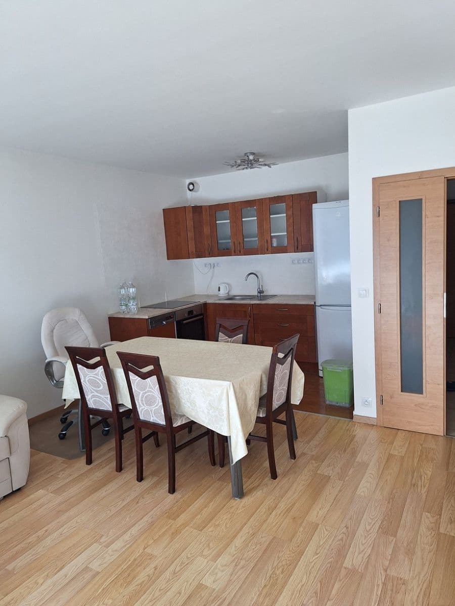 1 bedroom with open-plan kitchen flat to rent, 60 m², Sousedíkova, Prague, Prague 1 bedroom with open-plan kitchen flat to rent, 60 m², Sousedíkova, Prague, Prague