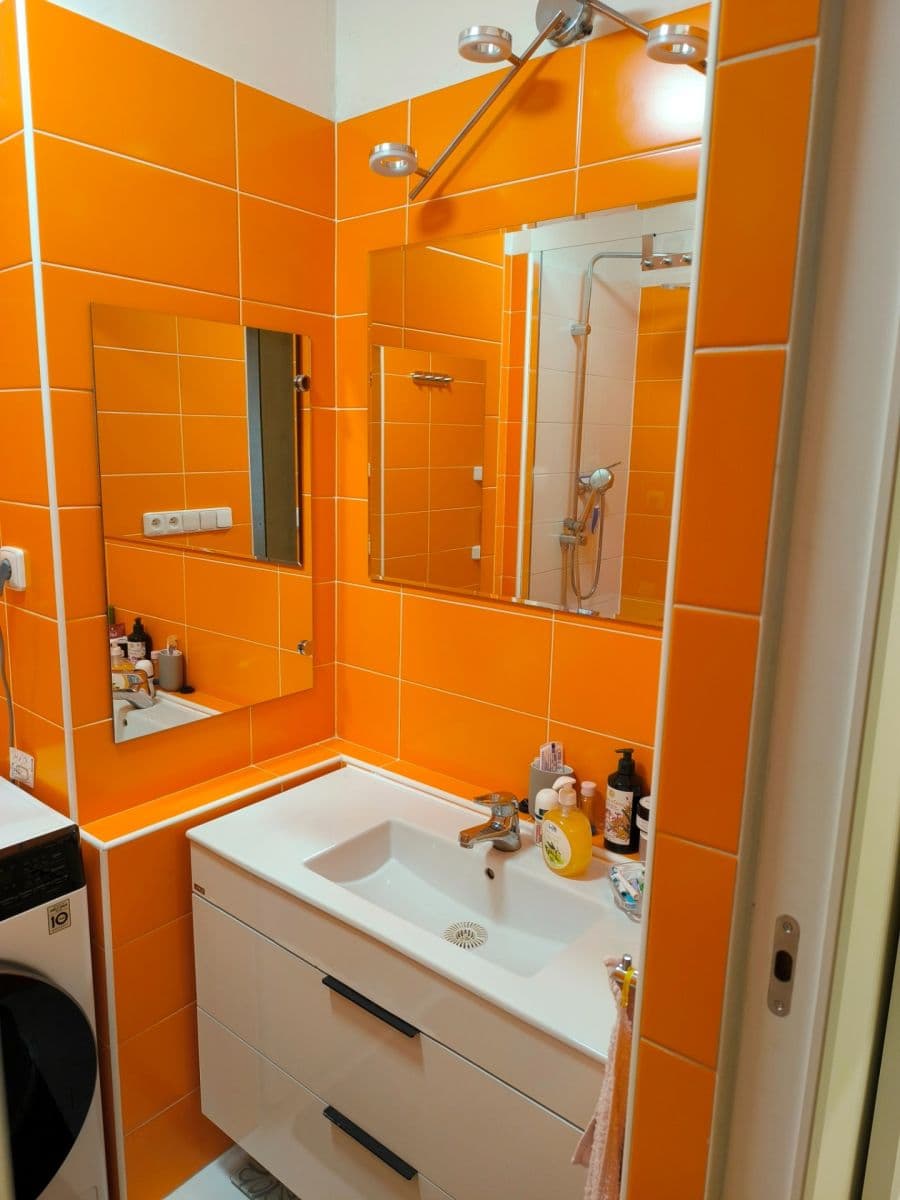 flat to rent, 23 m², Litvínovská, Prague, Prague flat to rent, 23 m², Litvínovská, Prague, Prague
