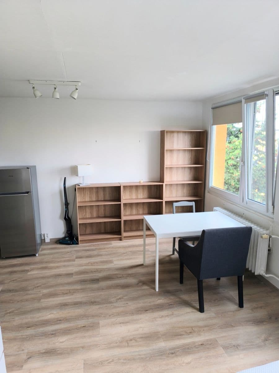 flat to rent, 23 m², Litvínovská, Prague, Prague flat to rent, 23 m², Litvínovská, Prague, Prague