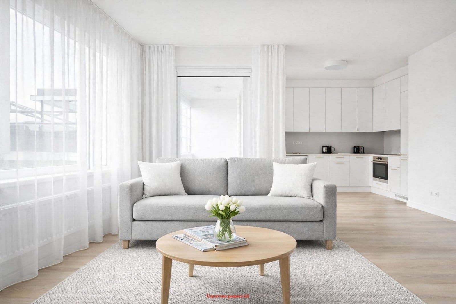 1 bedroom with open-plan kitchen flat to rent, 54 m², U Pergamenky, Prague, Prague 1 bedroom with open-plan kitchen flat to rent, 54 m², U Pergamenky, Prague, Prague