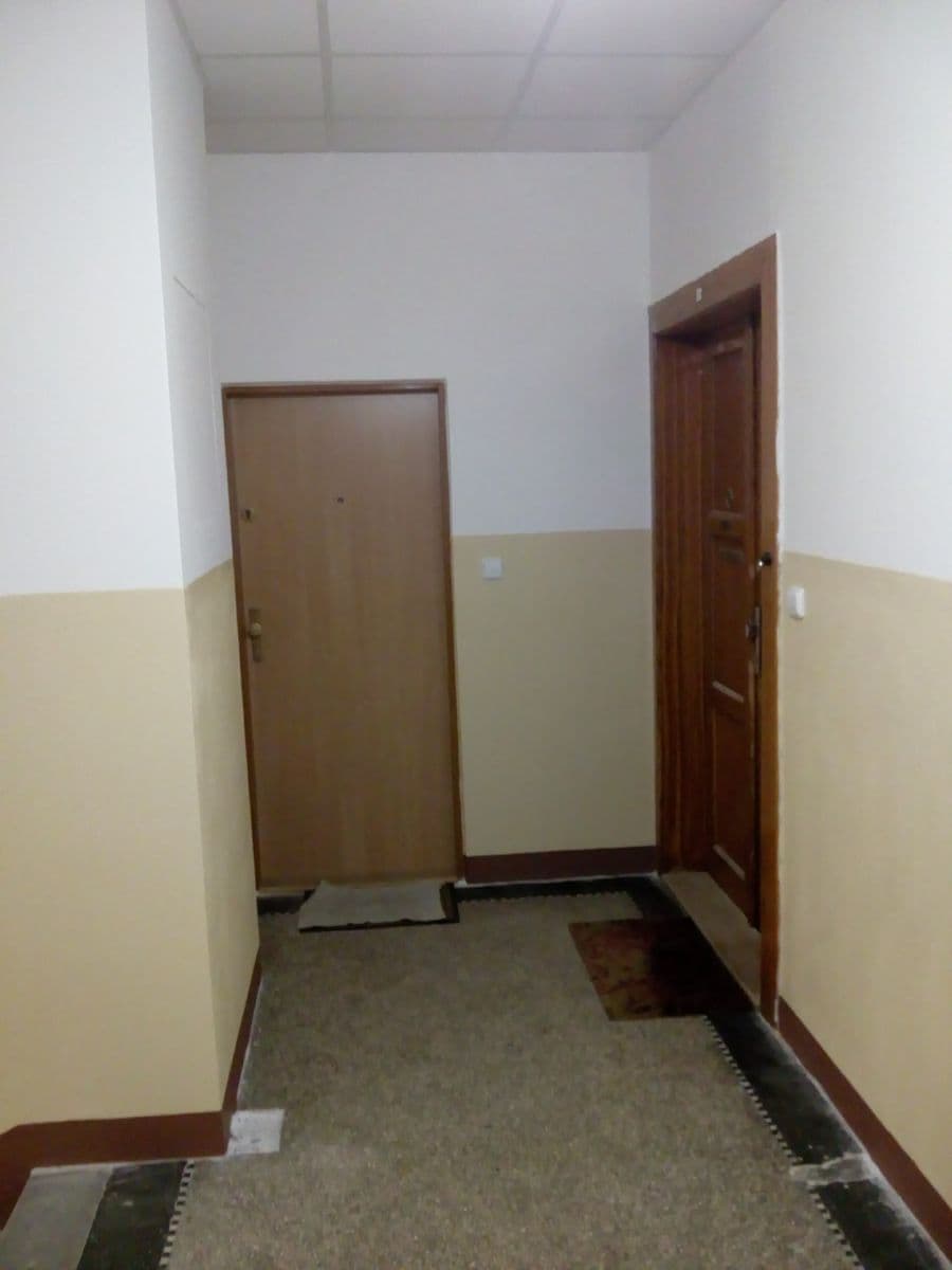 1 bedroom with open-plan kitchen flat to rent, 39 m², Pod Vilami, Prague, Prague 1 bedroom with open-plan kitchen flat to rent, 39 m², Pod Vilami, Prague, Prague