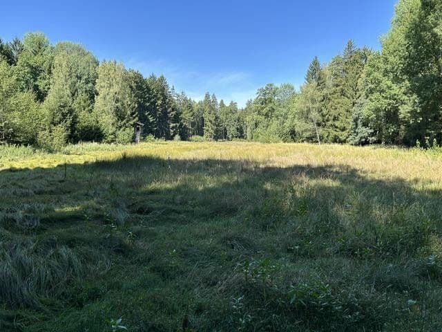 plot for sale, 26,610 m², Forstern, Bavaria plot for sale, 26,610 m², Forstern, Bavaria
