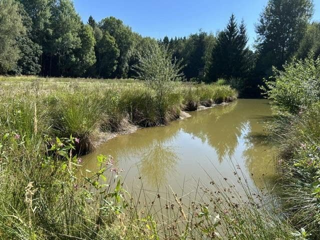 plot for sale, 26,610 m², Forstern, Bavaria plot for sale, 26,610 m², Forstern, Bavaria
