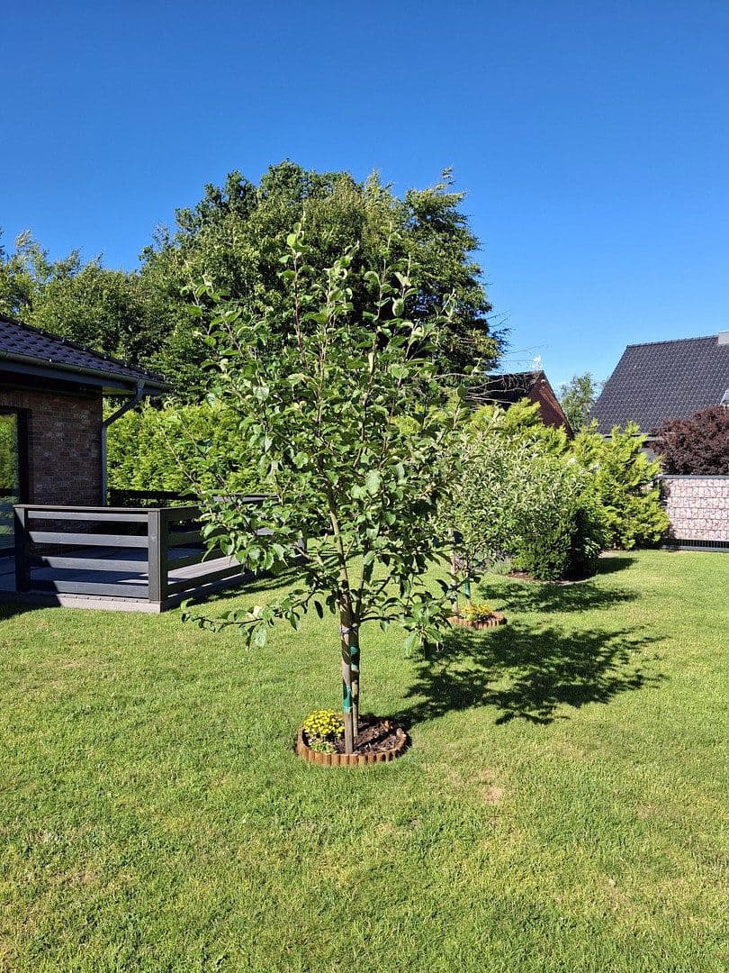 house for sale, 69 m², Alt Bennebek, Schleswig-Holstein house for sale, 69 m², Alt Bennebek, Schleswig-Holstein