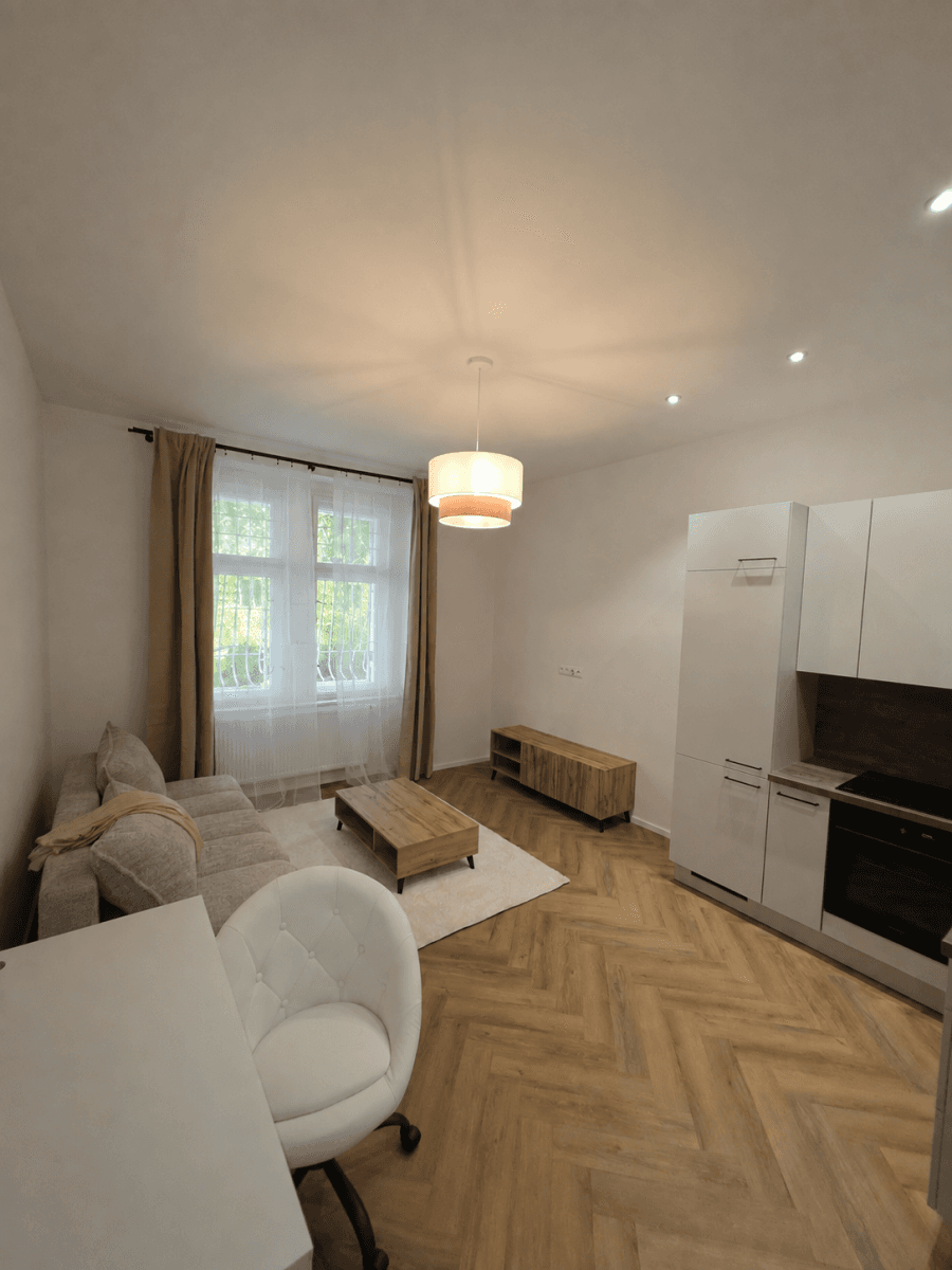 1 bedroom with open-plan kitchen flat to rent, 36 m², Na Kozačce, Prague, Prague 1 bedroom with open-plan kitchen flat to rent, 36 m², Na Kozačce, Prague, Prague