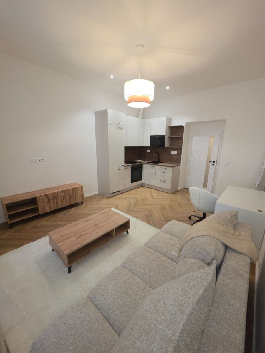 1 bedroom with open-plan kitchen flat to rent, 36 m², Na Kozačce, Prague, Prague 1 bedroom with open-plan kitchen flat to rent, 36 m², Na Kozačce, Prague, Prague