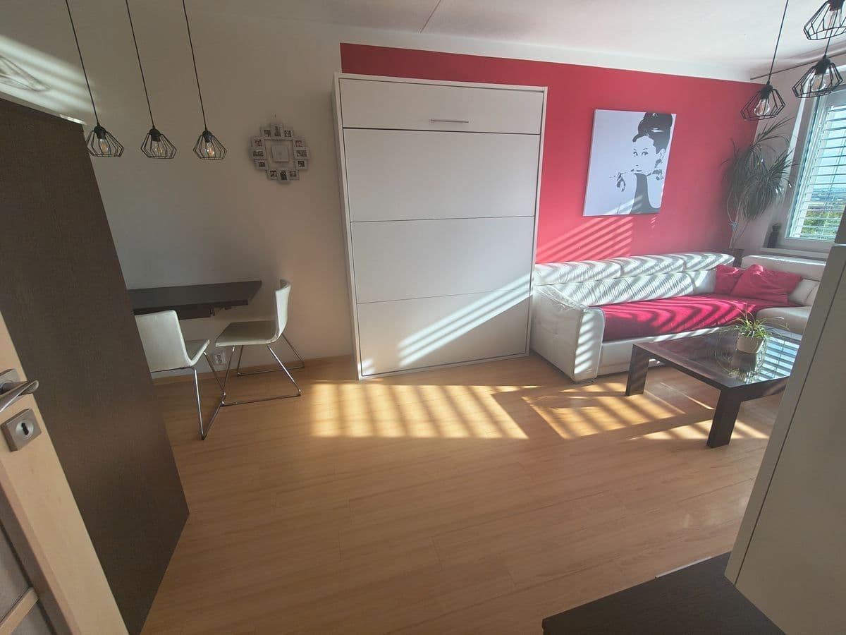 1 bedroom with open-plan kitchen flat to rent, 46 m², Neustupného, Prague, Prague 1 bedroom with open-plan kitchen flat to rent, 46 m², Neustupného, Prague, Prague