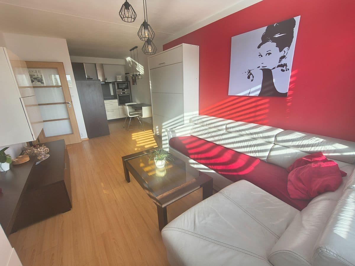 1 bedroom with open-plan kitchen flat to rent, 46 m², Neustupného, Prague, Prague 1 bedroom with open-plan kitchen flat to rent, 46 m², Neustupného, Prague, Prague