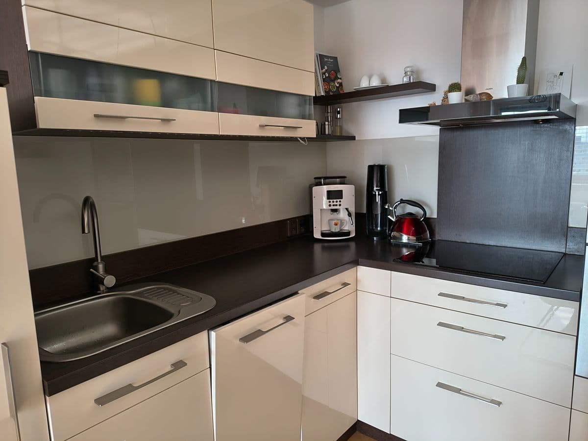 1 bedroom with open-plan kitchen flat to rent, 46 m², Neustupného, Prague, Prague 1 bedroom with open-plan kitchen flat to rent, 46 m², Neustupného, Prague, Prague