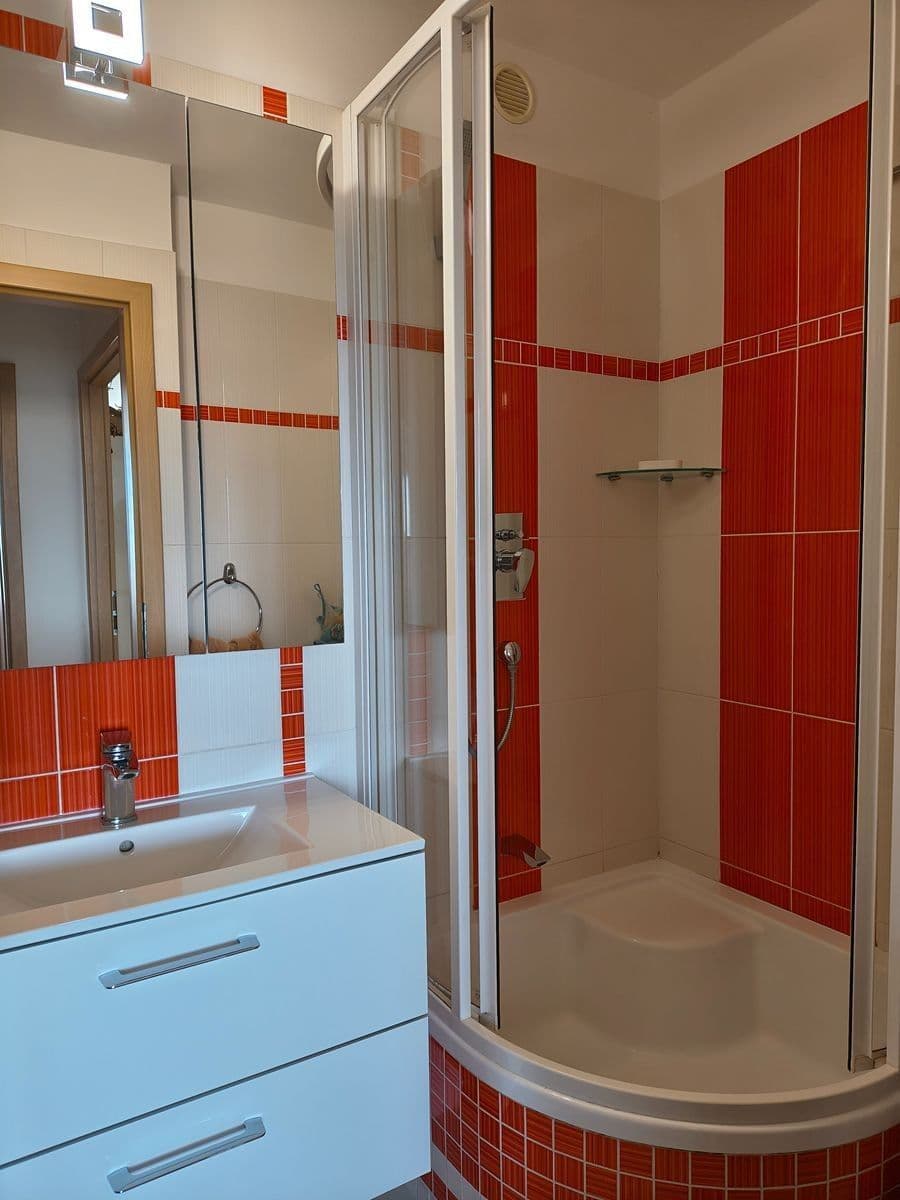 1 bedroom with open-plan kitchen flat to rent, 46 m², Neustupného, Prague, Prague 1 bedroom with open-plan kitchen flat to rent, 46 m², Neustupného, Prague, Prague
