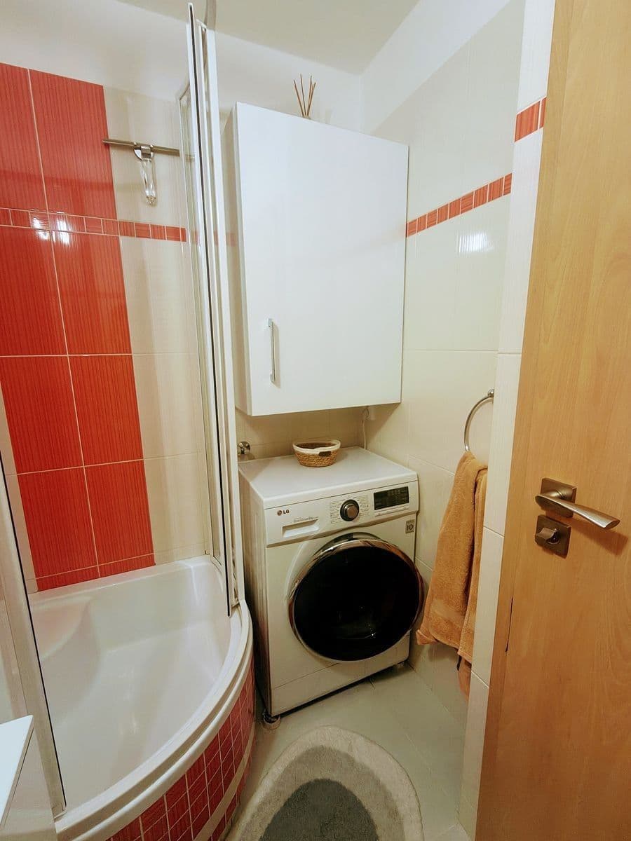 1 bedroom with open-plan kitchen flat to rent, 46 m², Neustupného, Prague, Prague 1 bedroom with open-plan kitchen flat to rent, 46 m², Neustupného, Prague, Prague