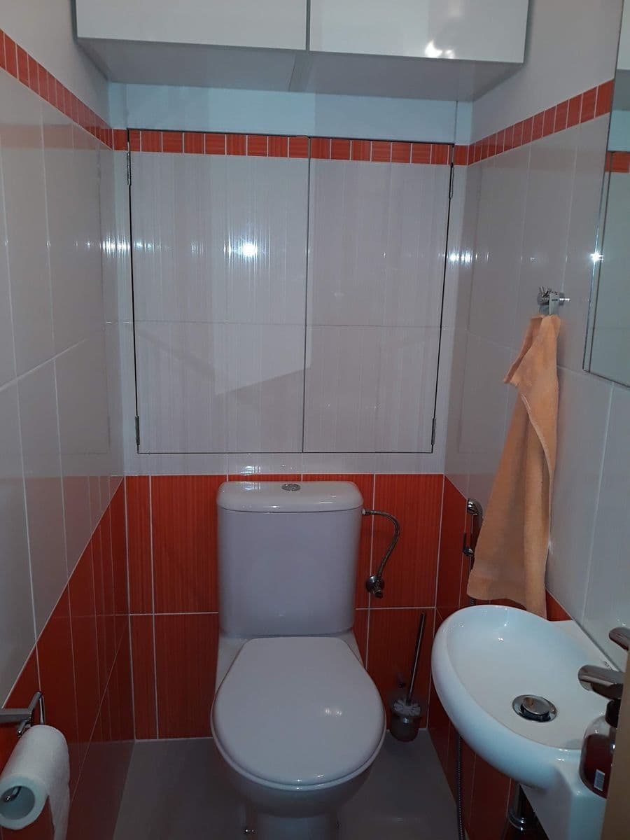 1 bedroom with open-plan kitchen flat to rent, 46 m², Neustupného, Prague, Prague 1 bedroom with open-plan kitchen flat to rent, 46 m², Neustupného, Prague, Prague
