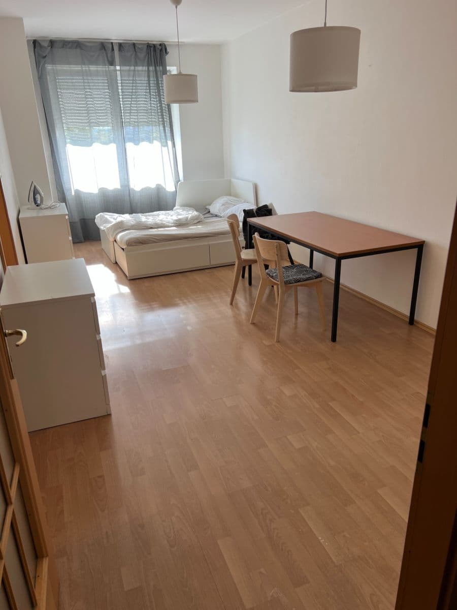 1 bedroom with open-plan kitchen flat to rent, 48 m², Chotovická, Prague, Prague 1 bedroom with open-plan kitchen flat to rent, 48 m², Chotovická, Prague, Prague