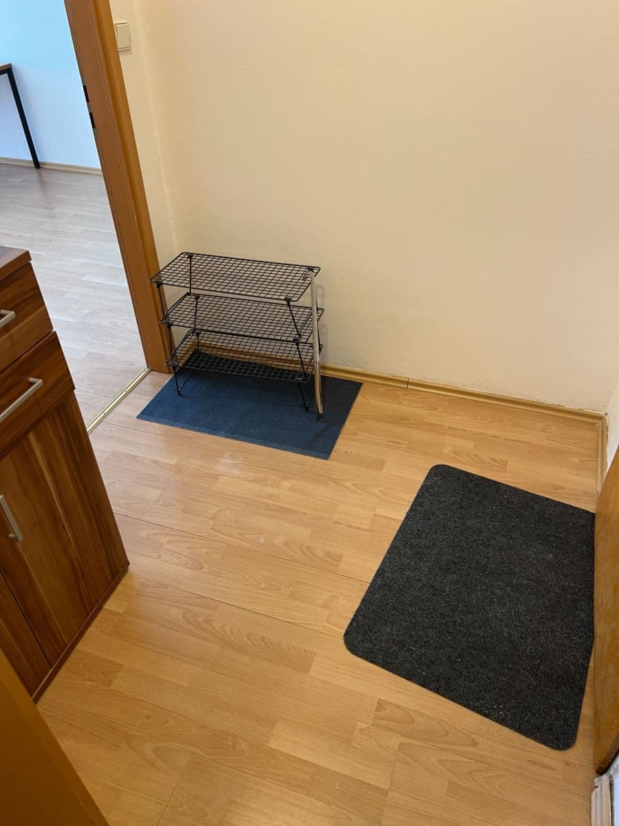 1 bedroom with open-plan kitchen flat to rent, 48 m², Chotovická, Prague, Prague 1 bedroom with open-plan kitchen flat to rent, 48 m², Chotovická, Prague, Prague