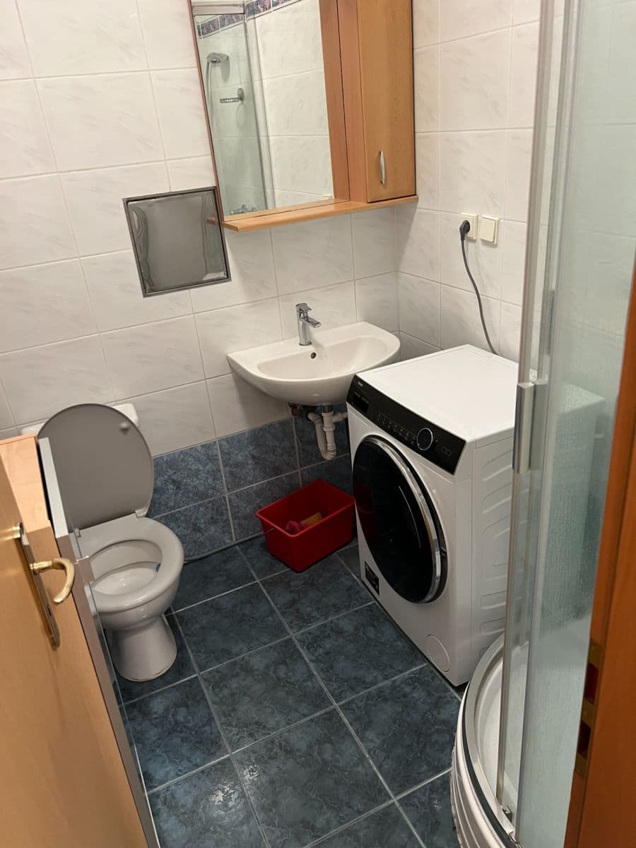 1 bedroom with open-plan kitchen flat to rent, 48 m², Chotovická, Prague, Prague 1 bedroom with open-plan kitchen flat to rent, 48 m², Chotovická, Prague, Prague