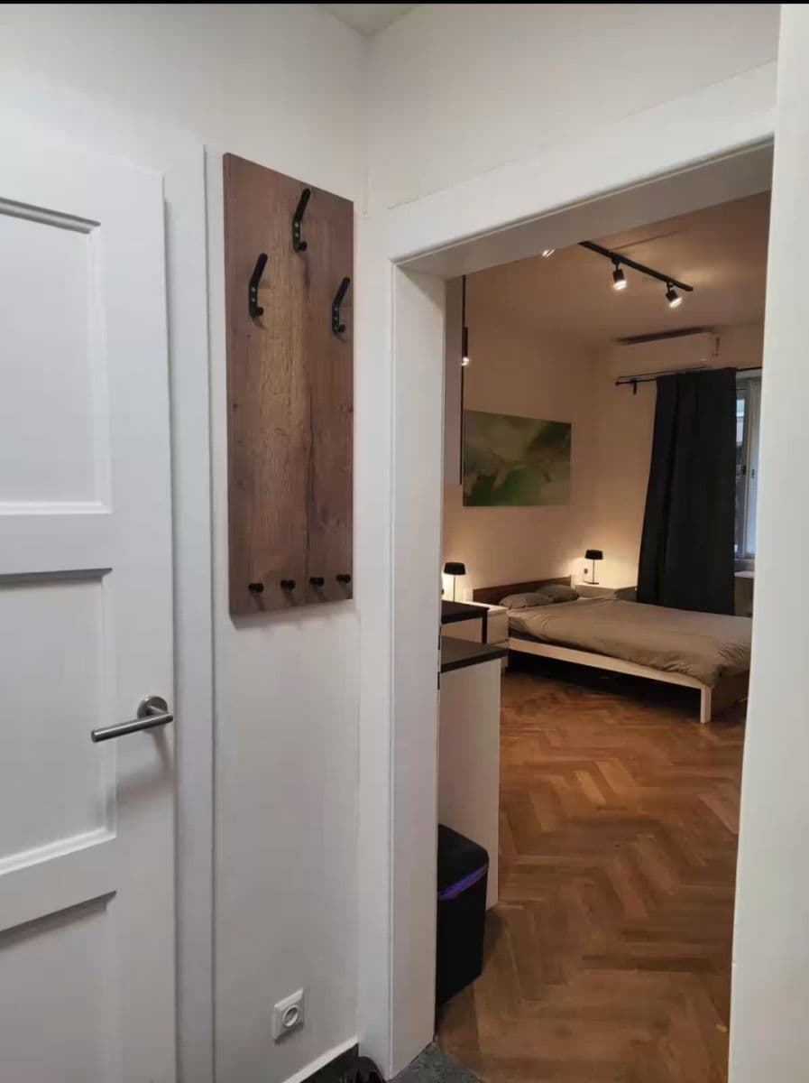 flat to rent, 27 m², Žerotínova, Prague, Prague flat to rent, 27 m², Žerotínova, Prague, Prague