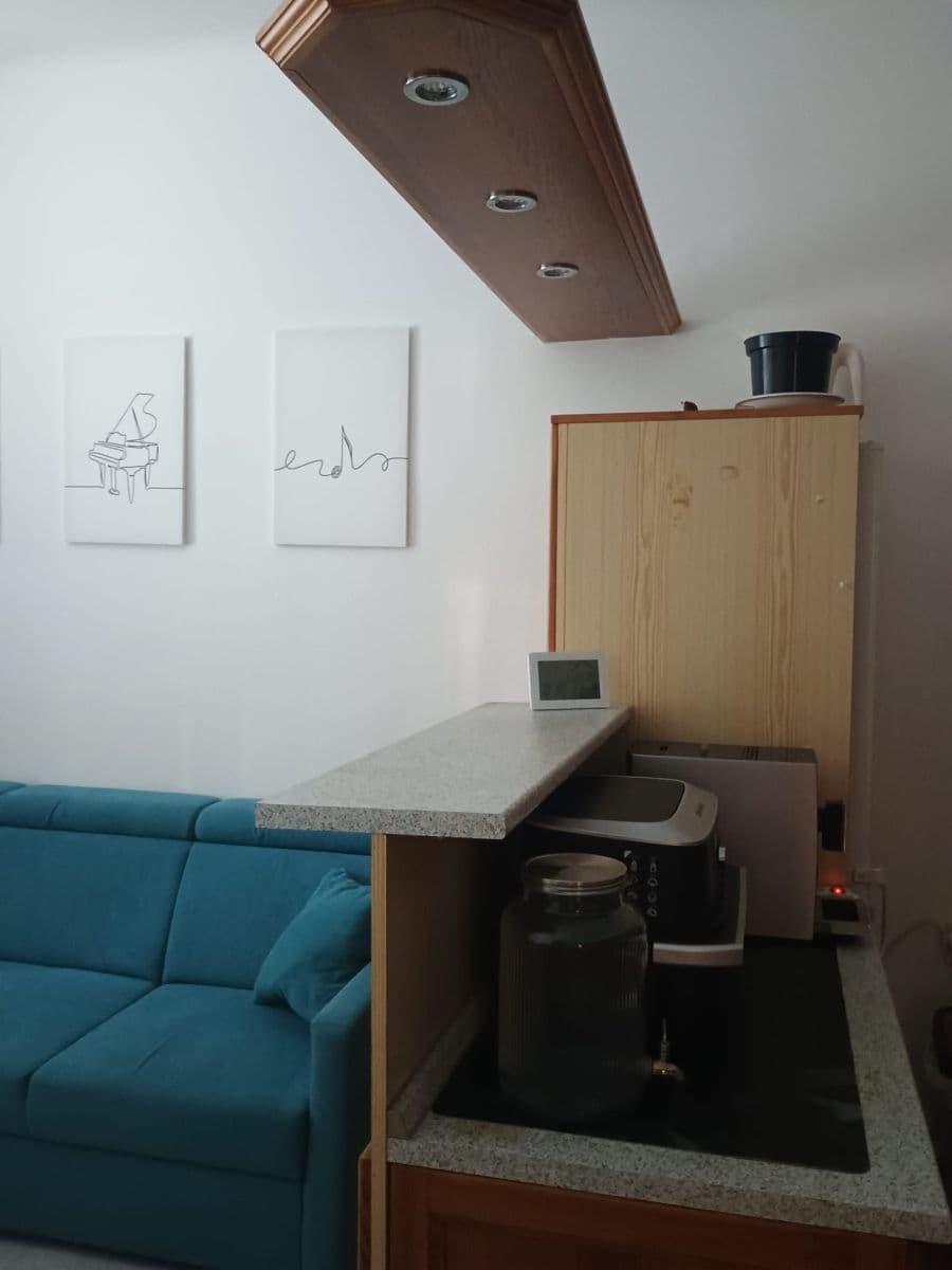 1 bedroom with open-plan kitchen flat to rent, 45 m², U Pergamenky, Prague, Prague 1 bedroom with open-plan kitchen flat to rent, 45 m², U Pergamenky, Prague, Prague