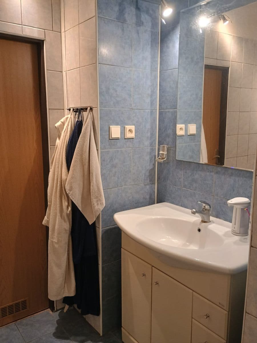 1 bedroom with open-plan kitchen flat to rent, 45 m², U Pergamenky, Prague, Prague 1 bedroom with open-plan kitchen flat to rent, 45 m², U Pergamenky, Prague, Prague