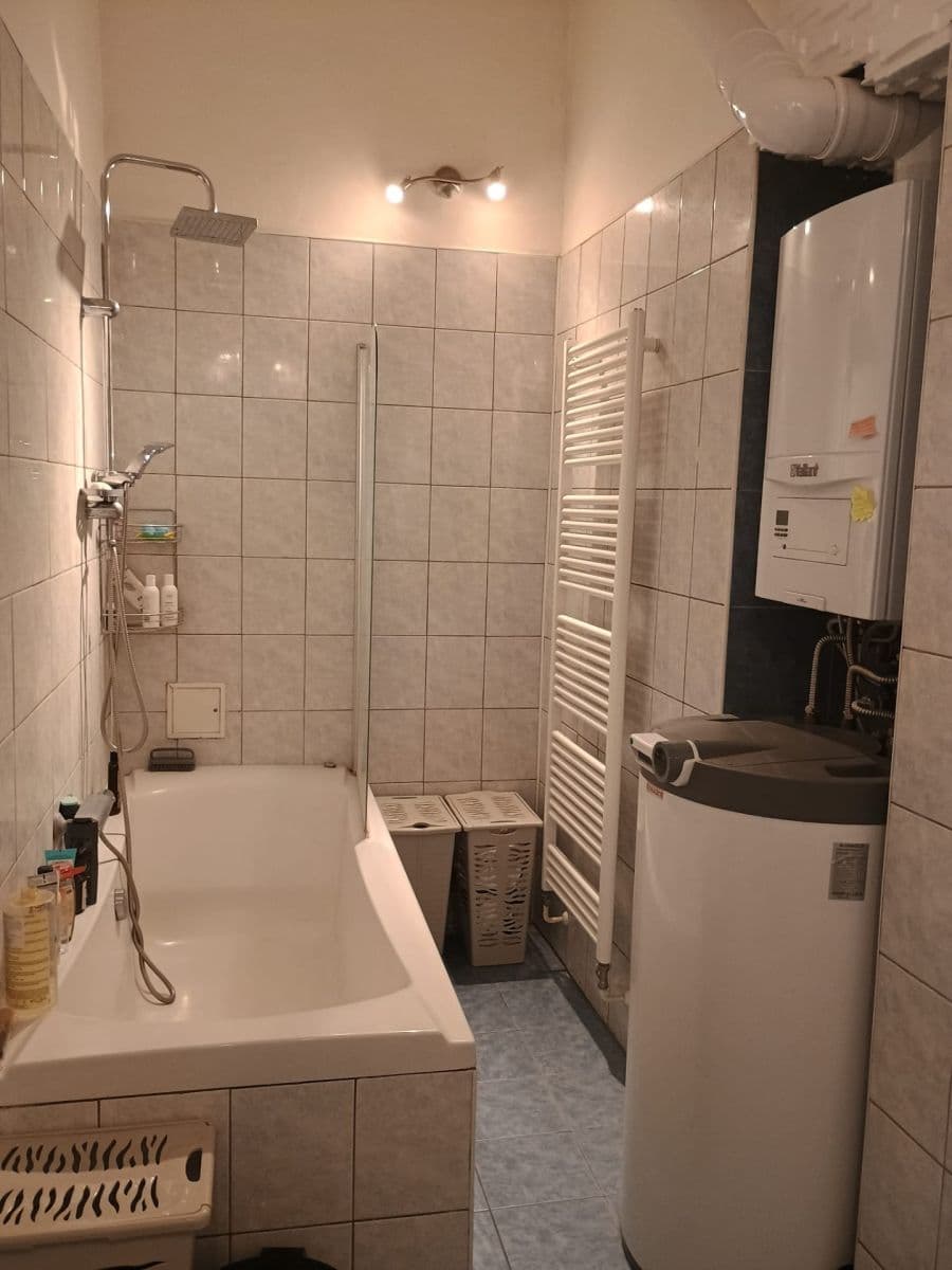 1 bedroom with open-plan kitchen flat to rent, 45 m², U Pergamenky, Prague, Prague 1 bedroom with open-plan kitchen flat to rent, 45 m², U Pergamenky, Prague, Prague