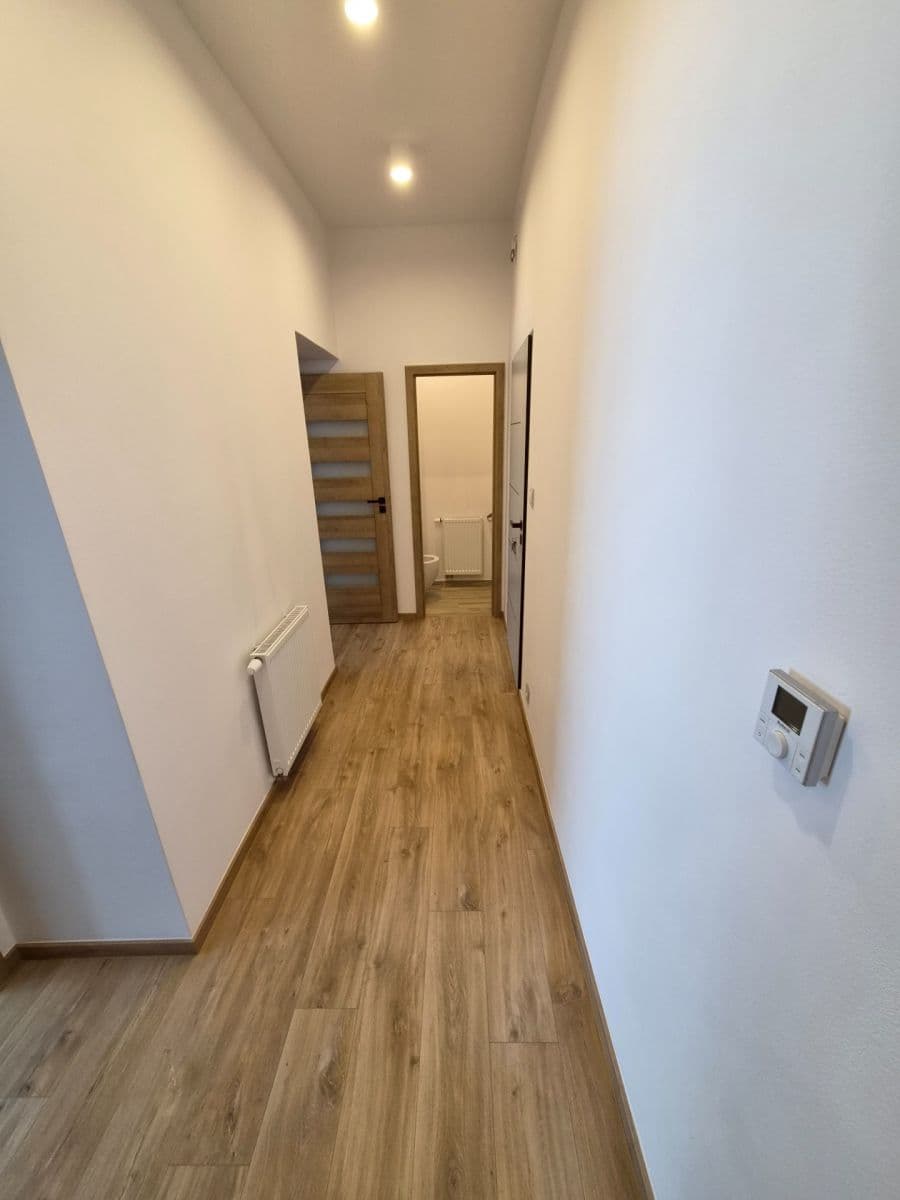 1 bedroom with open-plan kitchen flat to rent, 49 m², Na Hanspaulce, Prague, Prague 1 bedroom with open-plan kitchen flat to rent, 49 m², Na Hanspaulce, Prague, Prague