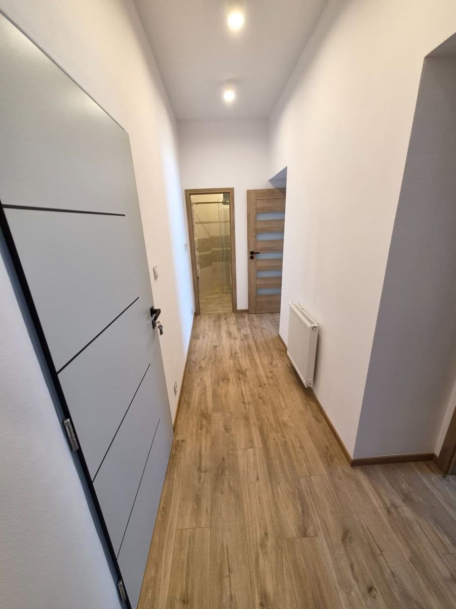 1 bedroom with open-plan kitchen flat to rent, 49 m², Na Hanspaulce, Prague, Prague 1 bedroom with open-plan kitchen flat to rent, 49 m², Na Hanspaulce, Prague, Prague