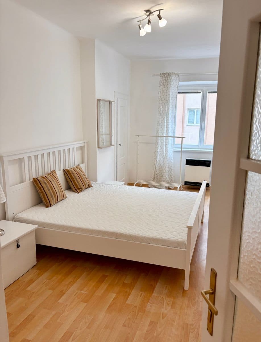 1 bedroom with open-plan kitchen flat to rent, 50 m², Petra Slezáka, Prague, Prague 1 bedroom with open-plan kitchen flat to rent, 50 m², Petra Slezáka, Prague, Prague