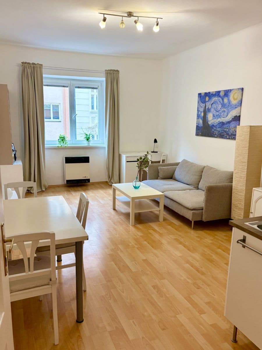 1 bedroom with open-plan kitchen flat to rent, 50 m², Petra Slezáka, Prague, Prague 1 bedroom with open-plan kitchen flat to rent, 50 m², Petra Slezáka, Prague, Prague