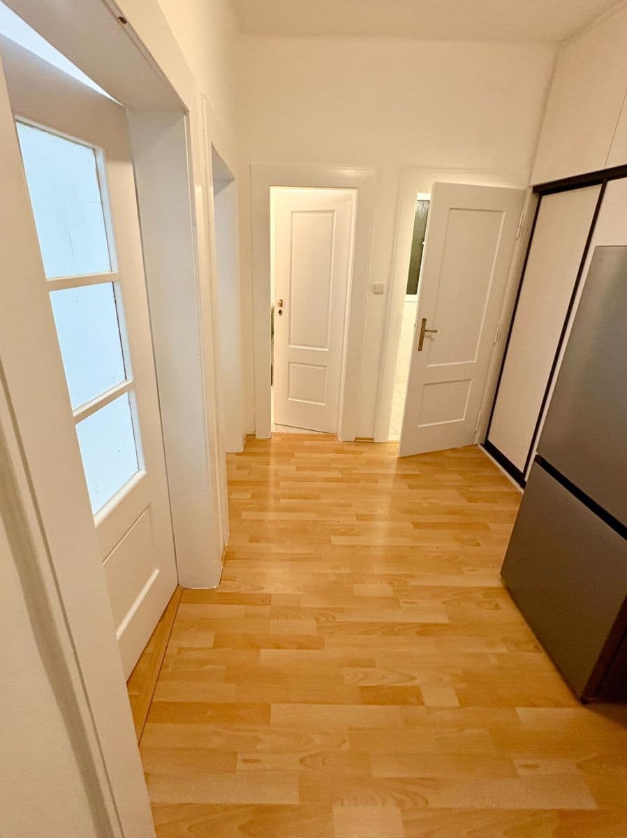 1 bedroom with open-plan kitchen flat to rent, 50 m², Petra Slezáka, Prague, Prague 1 bedroom with open-plan kitchen flat to rent, 50 m², Petra Slezáka, Prague, Prague