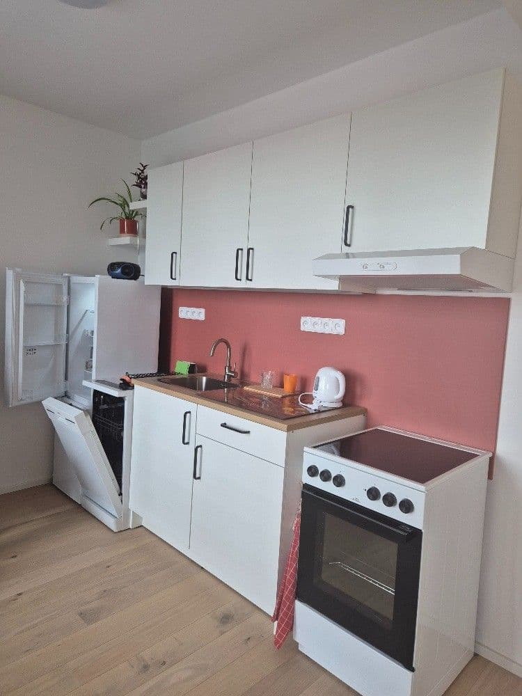 1 bedroom with open-plan kitchen flat to rent, 51 m², Mezitraťová, Prague, Prague 1 bedroom with open-plan kitchen flat to rent, 51 m², Mezitraťová, Prague, Prague