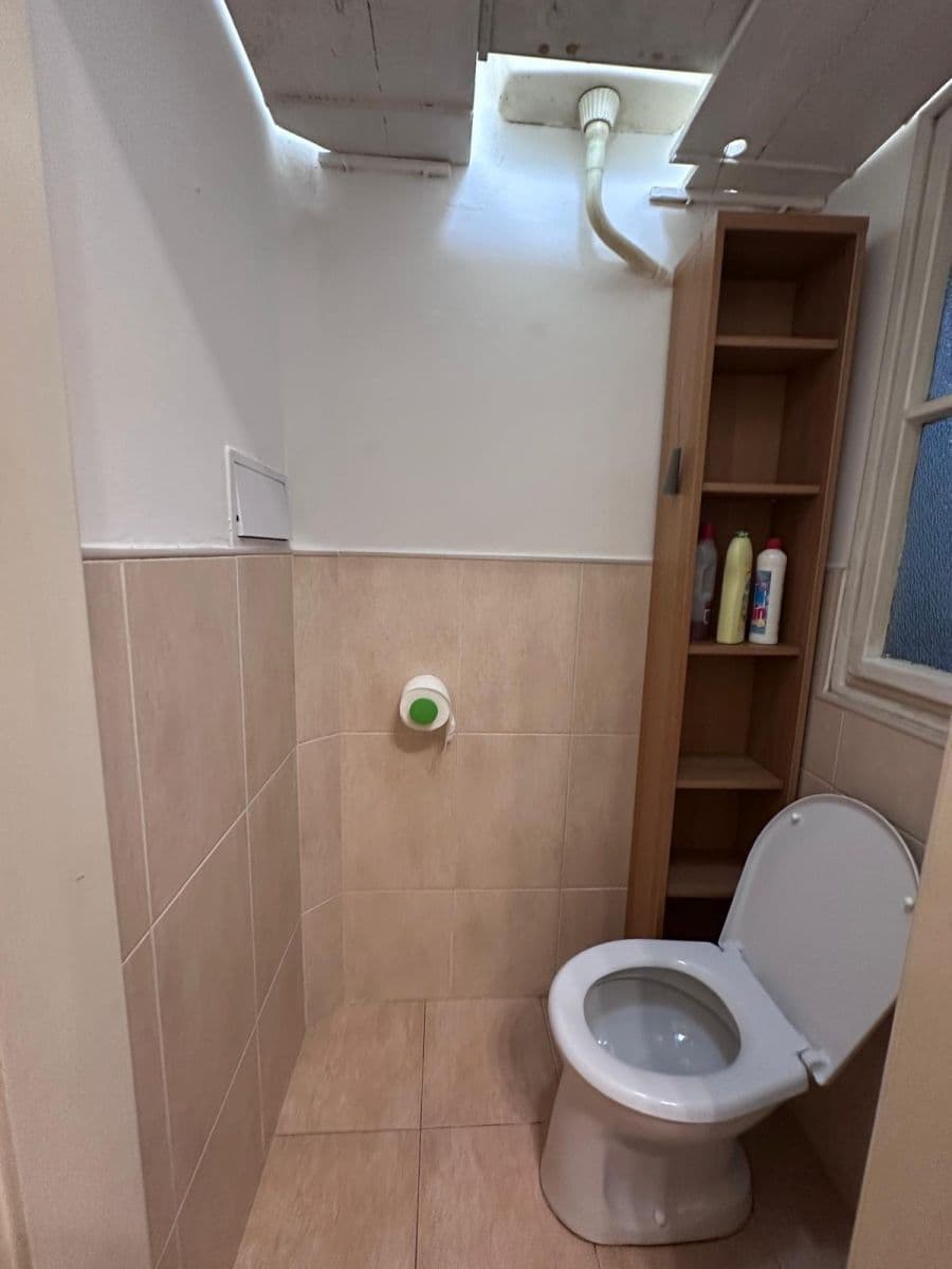 1 bedroom with open-plan kitchen flat to rent, 43 m², Nemocniční, Prague, Prague 1 bedroom with open-plan kitchen flat to rent, 43 m², Nemocniční, Prague, Prague