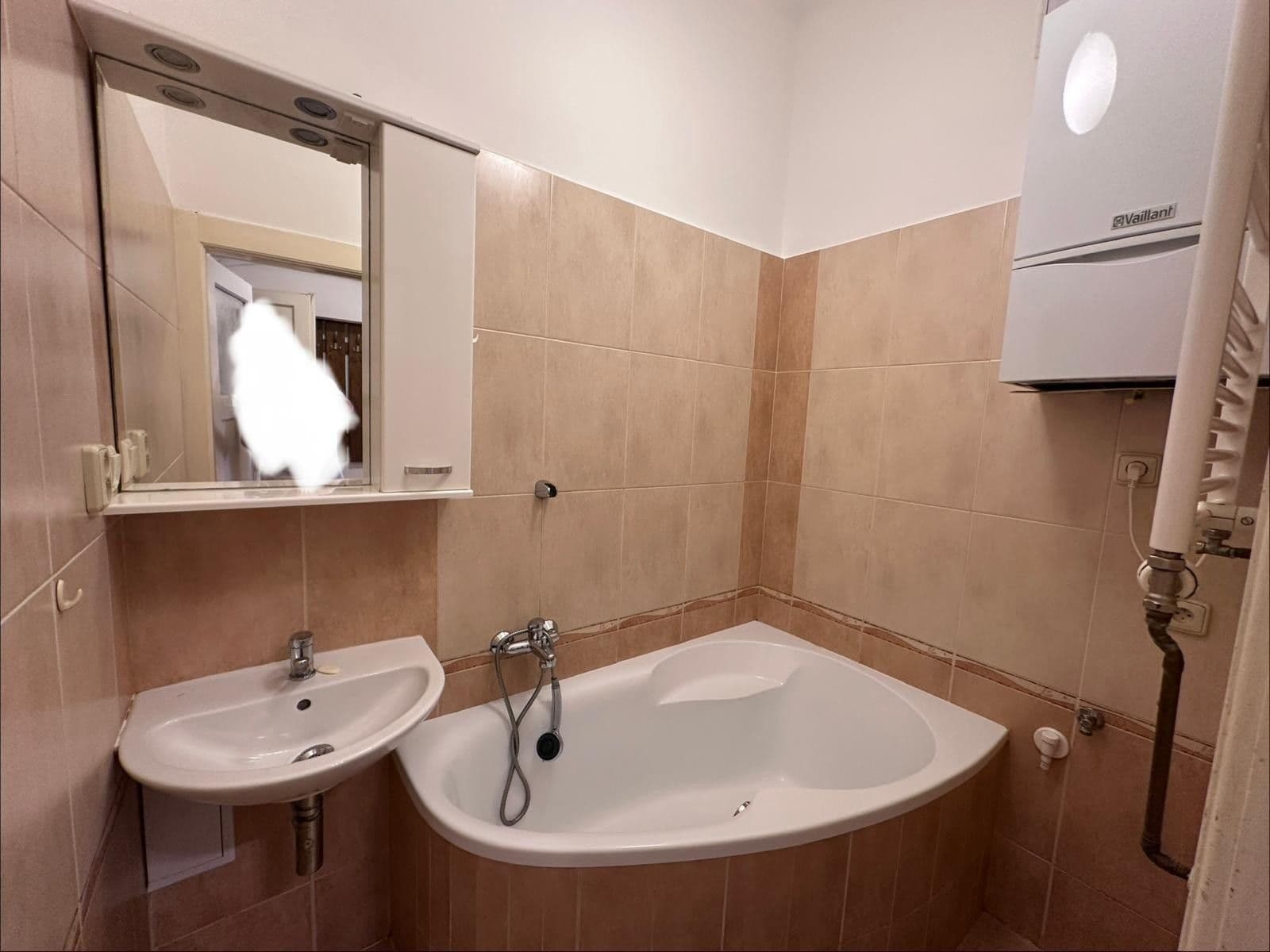 1 bedroom with open-plan kitchen flat to rent, 43 m², Nemocniční, Prague, Prague 1 bedroom with open-plan kitchen flat to rent, 43 m², Nemocniční, Prague, Prague