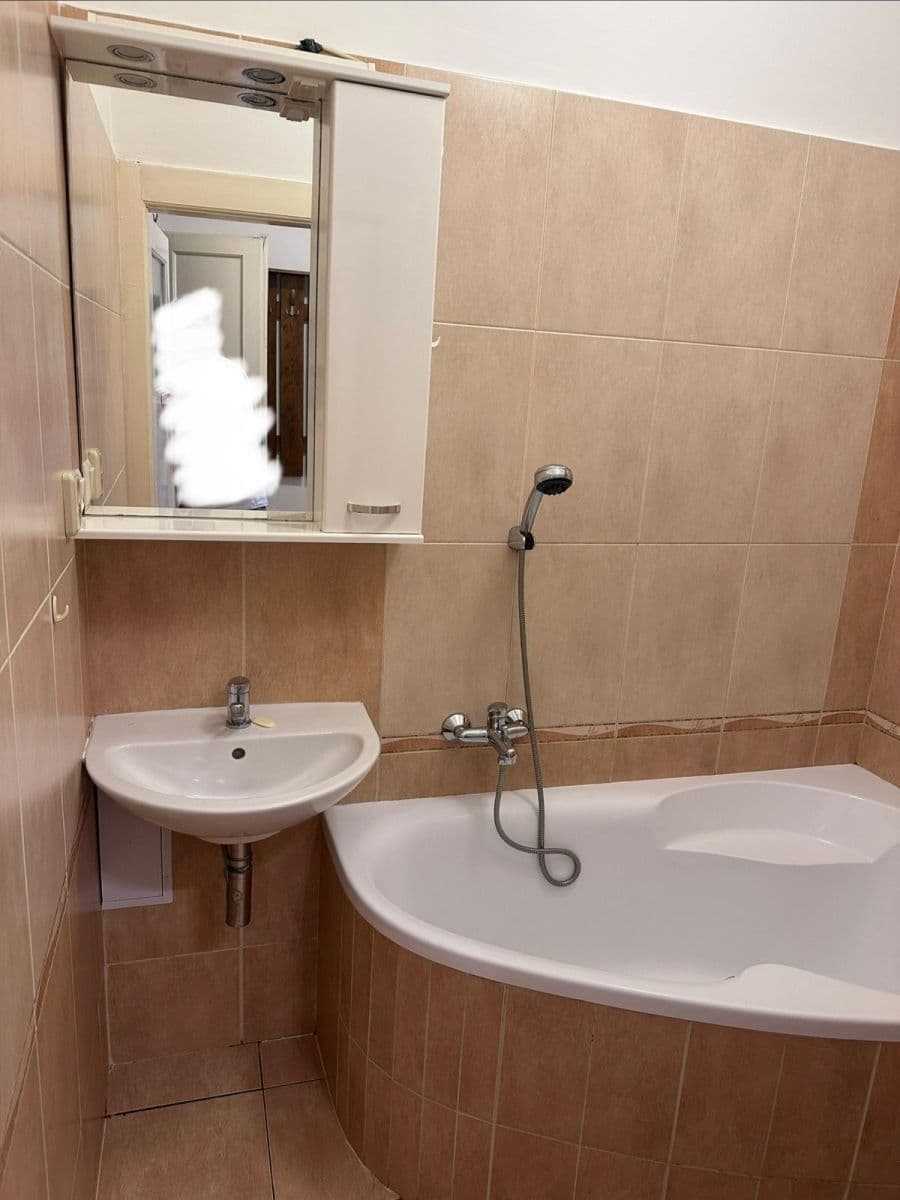 1 bedroom with open-plan kitchen flat to rent, 43 m², Nemocniční, Prague, Prague 1 bedroom with open-plan kitchen flat to rent, 43 m², Nemocniční, Prague, Prague