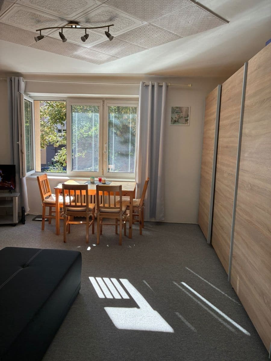 1 bedroom with open-plan kitchen flat for sale, 42 m², 28. října, Příbram, Středočeský Region 1 bedroom with open-plan kitchen flat for sale, 42 m², 28. října, Příbram, Středočeský Region