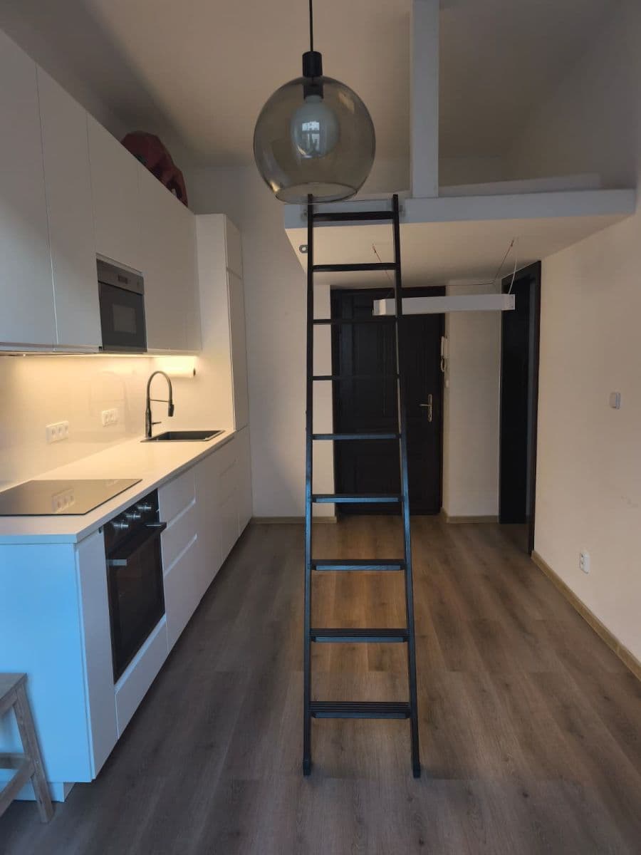 1 bedroom with open-plan kitchen flat to rent, 38 m², Brožíkova, Prague, Prague 1 bedroom with open-plan kitchen flat to rent, 38 m², Brožíkova, Prague, Prague