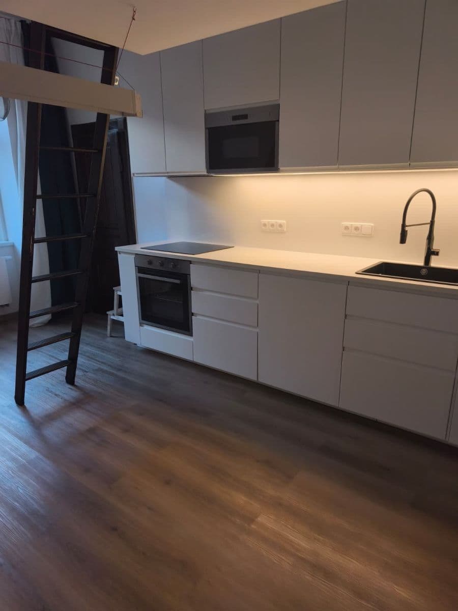 1 bedroom with open-plan kitchen flat to rent, 38 m², Brožíkova, Prague, Prague 1 bedroom with open-plan kitchen flat to rent, 38 m², Brožíkova, Prague, Prague