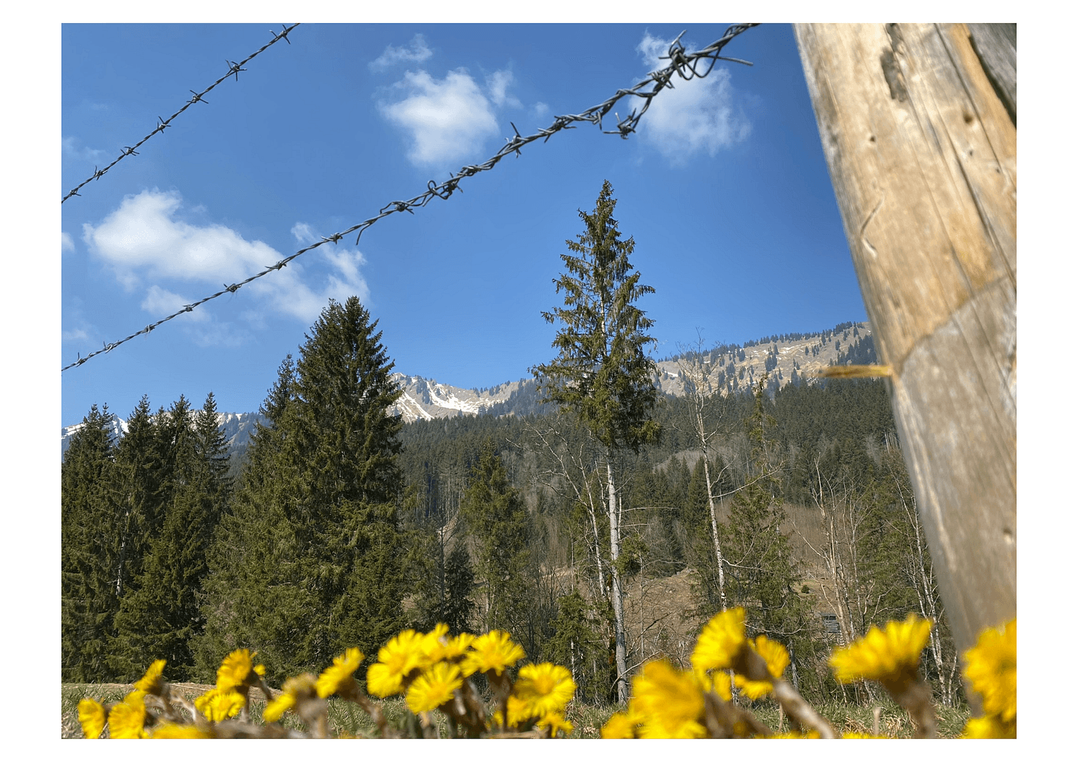 house for sale, 1,050 m², Sonthofen, Bavaria house for sale, 1,050 m², Sonthofen, Bavaria