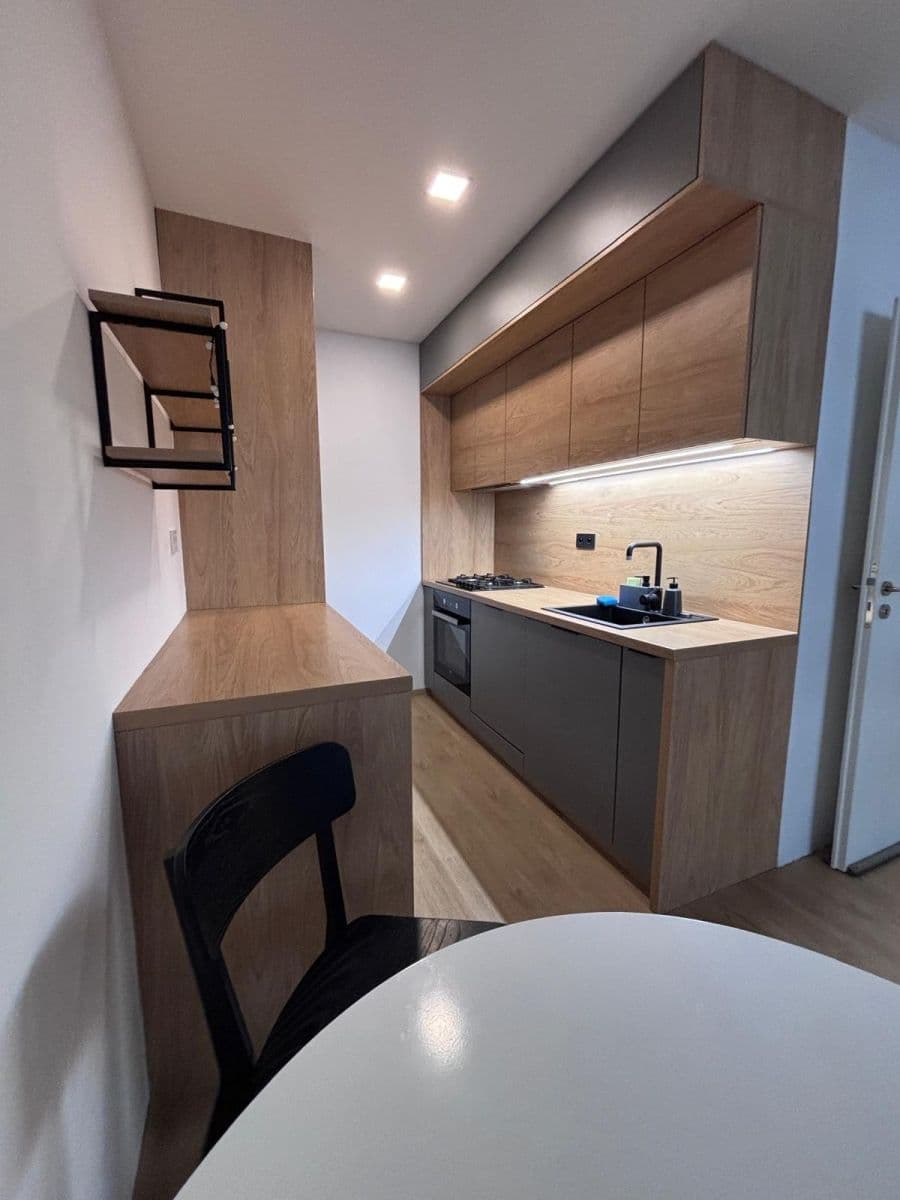 1 bedroom with open-plan kitchen flat to rent, 46 m², Novodvorská, Prague, Prague 1 bedroom with open-plan kitchen flat to rent, 46 m², Novodvorská, Prague, Prague