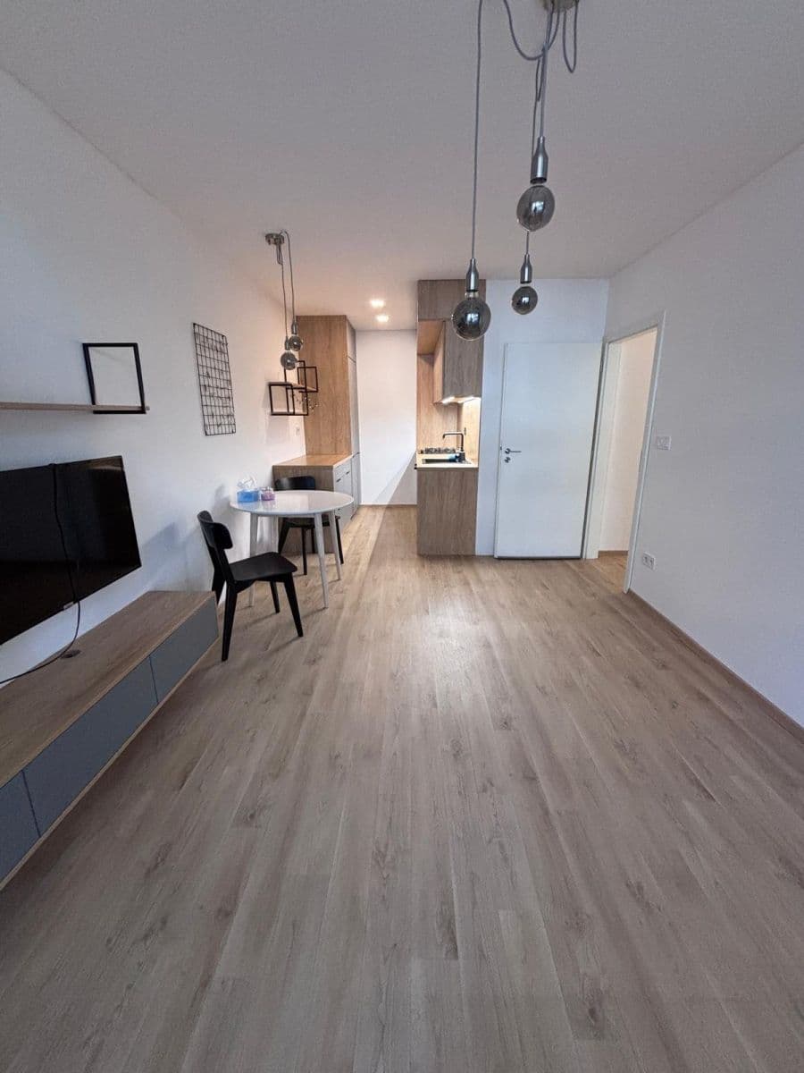 1 bedroom with open-plan kitchen flat to rent, 46 m², Novodvorská, Prague, Prague 1 bedroom with open-plan kitchen flat to rent, 46 m², Novodvorská, Prague, Prague