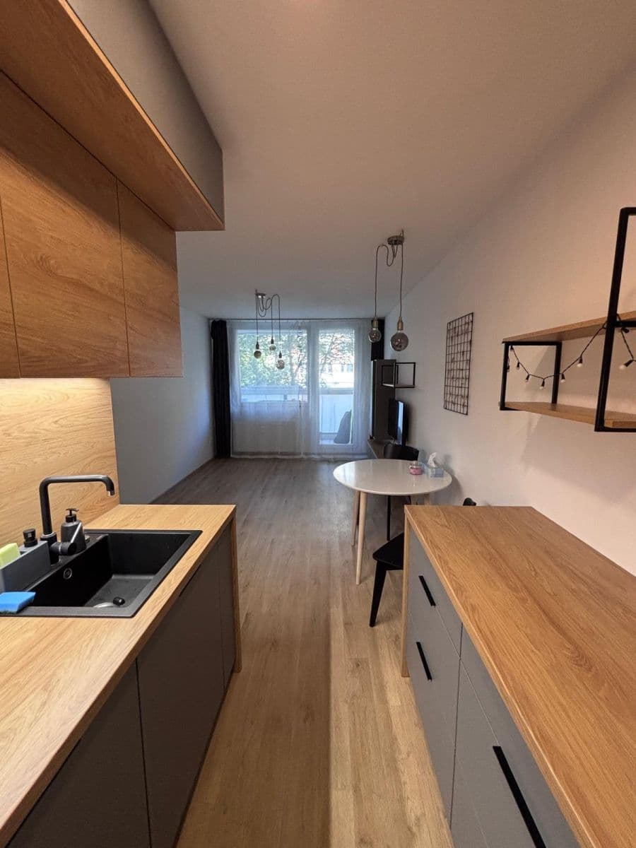 1 bedroom with open-plan kitchen flat to rent, 46 m², Novodvorská, Prague, Prague 1 bedroom with open-plan kitchen flat to rent, 46 m², Novodvorská, Prague, Prague