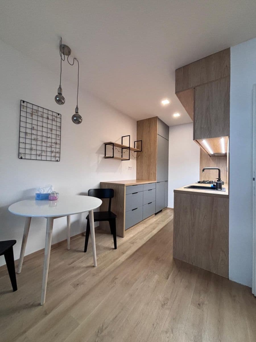 1 bedroom with open-plan kitchen flat to rent, 46 m², Novodvorská, Prague, Prague 1 bedroom with open-plan kitchen flat to rent, 46 m², Novodvorská, Prague, Prague