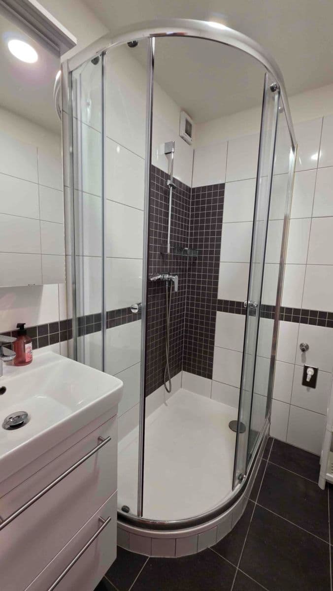 1 bedroom with open-plan kitchen flat to rent, 46 m², V Hůrkách, Prague, Prague 1 bedroom with open-plan kitchen flat to rent, 46 m², V Hůrkách, Prague, Prague