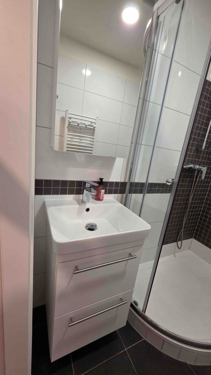 1 bedroom with open-plan kitchen flat to rent, 46 m², V Hůrkách, Prague, Prague 1 bedroom with open-plan kitchen flat to rent, 46 m², V Hůrkách, Prague, Prague