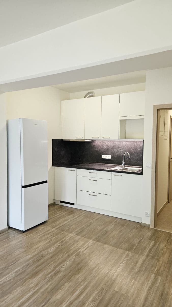 Studio flat to rent, 30 m², Sinkulova, Prague, Prague Studio flat to rent, 30 m², Sinkulova, Prague, Prague
