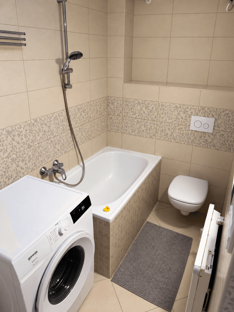 1 bedroom with open-plan kitchen flat to rent, 47 m², Vyžlovská, Prague, Prague 1 bedroom with open-plan kitchen flat to rent, 47 m², Vyžlovská, Prague, Prague