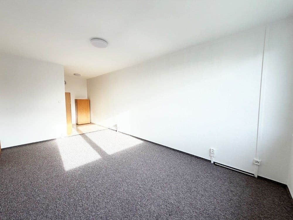 1 bedroom with open-plan kitchen flat to rent, 46 m², Krausova, Prague, Prague 1 bedroom with open-plan kitchen flat to rent, 46 m², Krausova, Prague, Prague