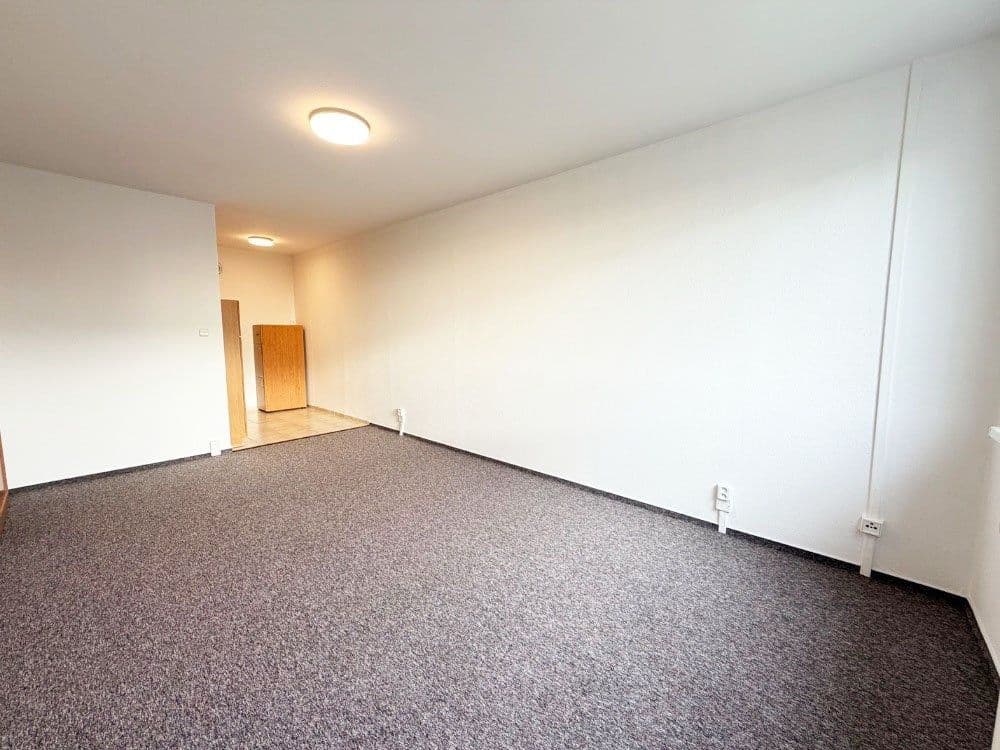 1 bedroom with open-plan kitchen flat to rent, 46 m², Krausova, Prague, Prague 1 bedroom with open-plan kitchen flat to rent, 46 m², Krausova, Prague, Prague