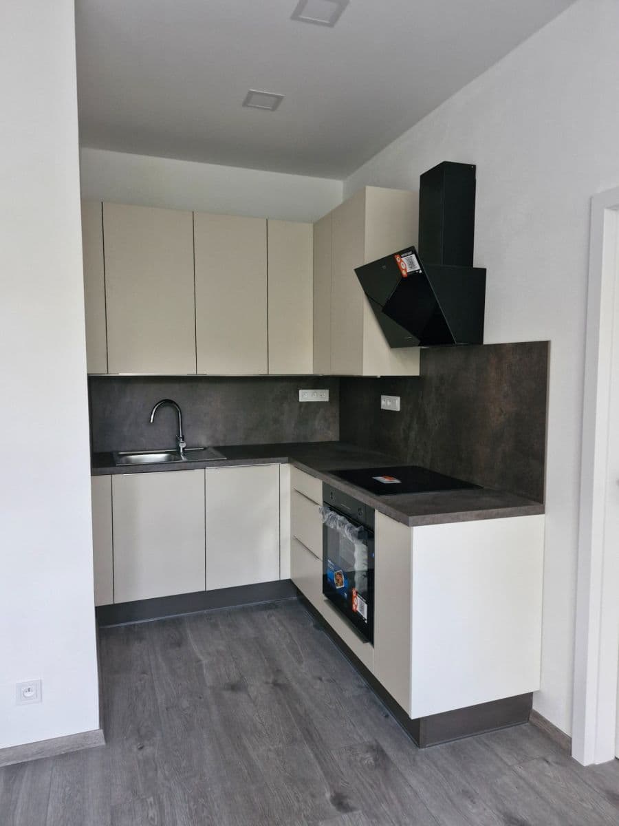 1 bedroom with open-plan kitchen flat to rent, 50 m², Stehlíkova, Plzeň, Plzeňský Region 1 bedroom with open-plan kitchen flat to rent, 50 m², Stehlíkova, Plzeň, Plzeňský Region